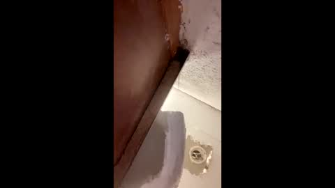 Snapshot of toronto5656 chatting on 01-12-25, 04:00 toronto5656 online show from 01-12-25, 04:00