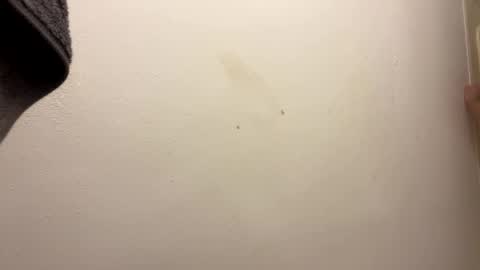 Snapshot of toronto5656 chatting on 01-31-25, 06:46 toronto5656 online show from 01-31-25, 06:46