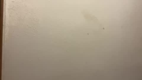 Snapshot of toronto5656 chatting on 02-05-25, 03:20 toronto5656 online show from 02-05-25, 03:20