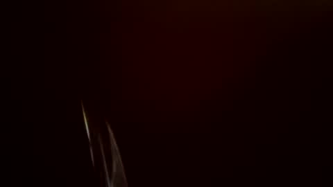 Snapshot of toronto5656 chatting on 02-24-25, 11:54 toronto5656 online show from 02-24-25, 11:54