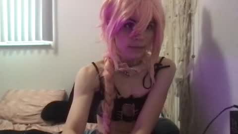 toxiicnekoo online show from 11-18-25, 07:29