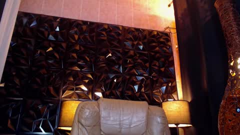 transpornidol online show from 02-15-25, 06:44