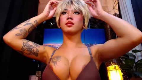 transpornidol online show from 12-18-25, 06:03