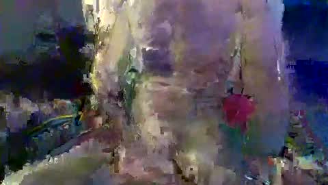 Trevor Reinson online show from 11-18-25, 01:37