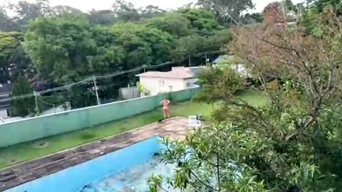 trigood online show from 11-28-25, 09:17