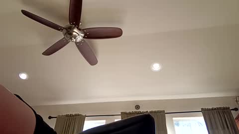 trillnonymau5 online show from 12-21-24, 06:34