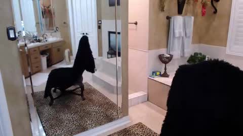 Snapshot of trophywifey chatting on 02-19-26, 08:21 Trophy Wifey iframe src height528 width850 s online show from 02-19-26, 08:21