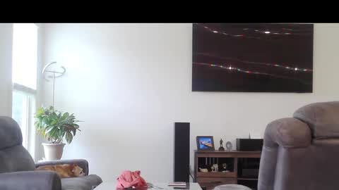 truckdoc26 online show from 10-11-25, 08:29