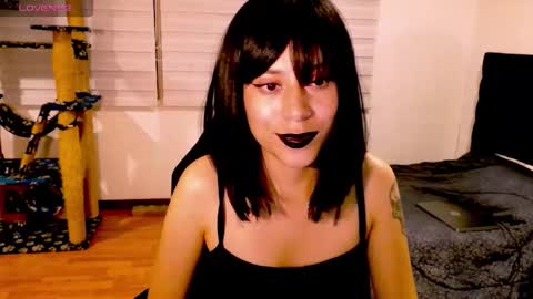 Snapshot of tryp666 chatting on 11-29-25, 07:22 Cait online show from 11-29-25, 07:22