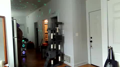 Snapshot of tsamberwhite007 chatting on 02-02-25, 07:46 Amber White online show from 02-02-25, 07:46