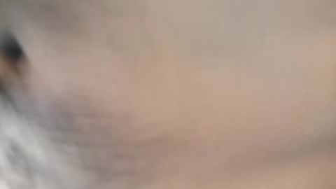 ttimmyt online show from 11-08-25, 08:07