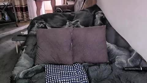 Lana online show from 11-20-25, 04:12