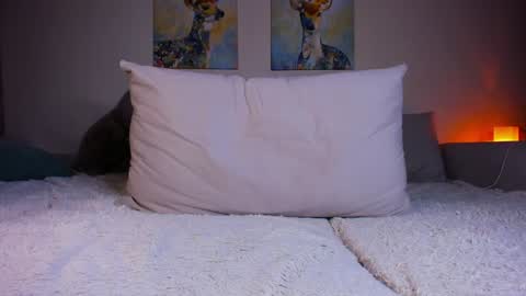 Snapshot of twiinkie_pie chatting on 12-18-24, 08:03 Maria 3 online show from 12-18-24, 08:03