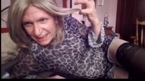 Kitten online show from 12-21-24, 02:52