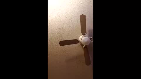 Snapshot of twosometeasesdarksexualkingdom chatting on 02-27-26, 11:32 twosometeasesdarksexualkingdom online show from 02-27-26, 11:32