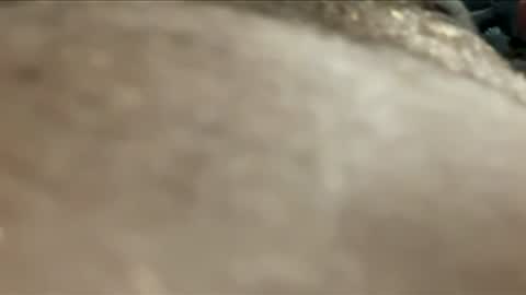 twotims12 online show from 11-24-25, 07:57