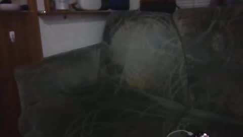 Snapshot of tybud4200 chatting on 10-20-25, 07:31 tybud4200 online show from 10-20-25, 07:31