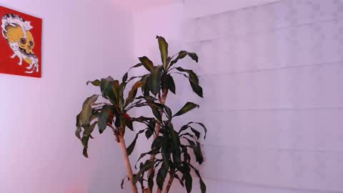 Martina online show from 10-11-25, 01:49