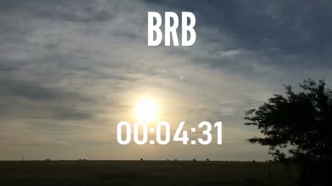 Snapshot of ulmo_br chatting on 12-15-24, 10:58 ulmo_br online show from 12-15-24, 10:58