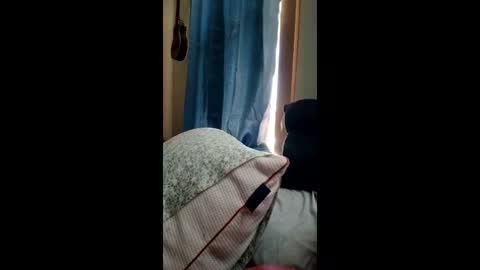 Snapshot of ummm1212 chatting on 03-01-26, 06:32 ummm1212 online show from 03-01-26, 06:32