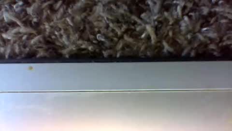 Snapshot of uncut_papi1989 chatting on 01-24-25, 06:25 tele kuzhbuzh online show from 01-24-25, 06:25