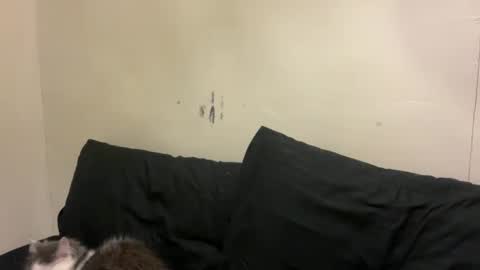 Bran online show from 03-10-26, 01:05