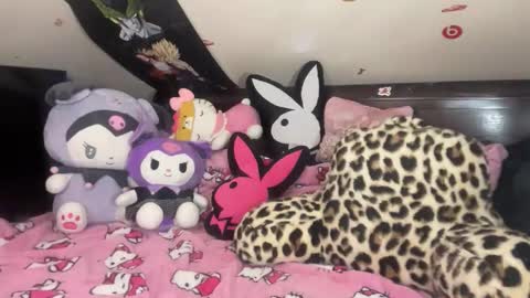 urlittlekittylana online show from 01-14-26, 03:23