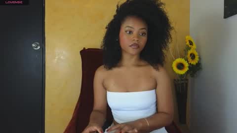 Snapshot of vanestrauss chatting on 11-11-25, 07:47 New account follow me online show from 11-11-25, 07:47