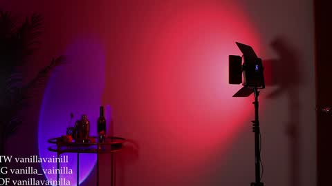 Snapshot of vanilla_velvet chatting on 12-30-24, 12:22 Annabet online show from 12-30-24, 12:22