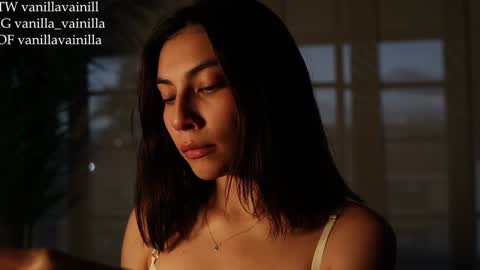 Snapshot of vanilla_velvet chatting on 01-30-25, 11:02 Annabet online show from 01-30-25, 11:02