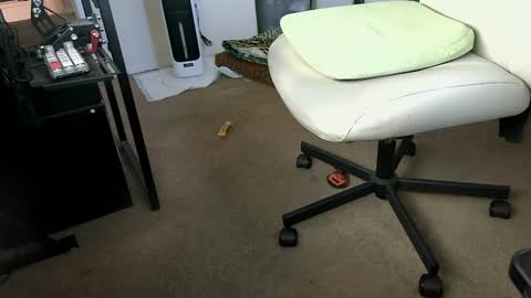 vegasnightowl online show from 10-07-25, 02:36