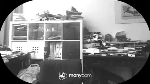 Snapshot of vejun2025 chatting on 09-11-25, 07:47 vejun2025 online show from 09-11-25, 07:47