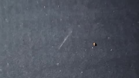 velvetsolez online show from 03-22-26, 09:29