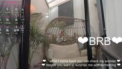 VENUS online show from 01-19-26, 11:36