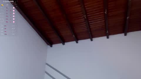 Snapshot of venusevans1 chatting on 12-28-24, 11:26 Venus Evans online show from 12-28-24, 11:26