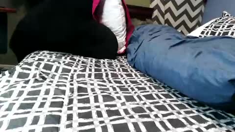 Vexnew online show from 02-21-26, 09:38