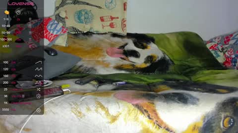 vicky manuela online show from 01-29-25, 12:54