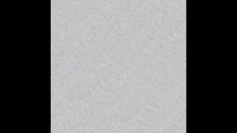 Victoria Collins online show from 10-17-25, 12:08