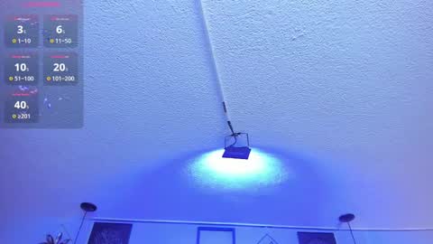 Viiolett online show from 02-24-25, 01:24