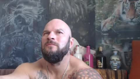 viking online show from 10-25-25, 07:49