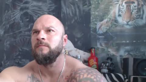 viking online show from 04-15-26, 10:33