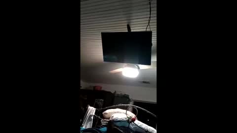 vinipussplzer online show from 01-19-26, 07:45