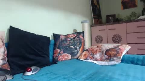 Viva online show from 03-11-25, 08:31