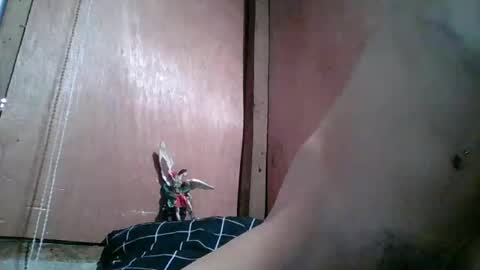 Snapshot of vivamaxgirls chatting on 02-10-26, 10:47 kim online show from 02-10-26, 10:47