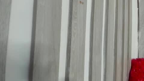  wanda  online show from 10-11-25, 04:33