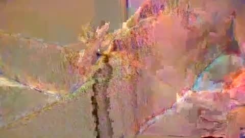 Snapshot of want2cum4gal chatting on 12-29-24, 10:47 want2cum4gal online show from 12-29-24, 10:47