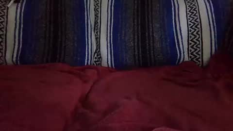 Warishcow online show from 12-11-24, 12:02