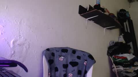  washbag14 online show from 02-13-26, 03:41