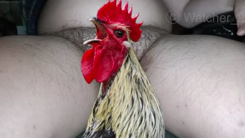 Snapshot of watcher_9 chatting on 12-08-24, 08:15 classified online show from 12-08-24, 08:15