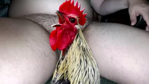 Snapshot of watcher_9 chatting on 10-04-25, 07:34 classified online show from 10-04-25, 07:34